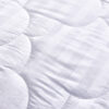 Plumon - Imagen 2